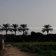 ارض للبيع السودانية بعد الواحة ٢٠٠ متر