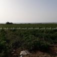 ارض للبيع السودانية بعد الواحة ٢٠٠ متر