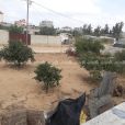 ارض للبيع جوار بلدية النصر