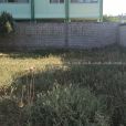 قطعة أرض للبيع خلف مدرسة غازي الشوا