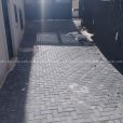 شقة مميزة مع مدخل مستقل للبيع