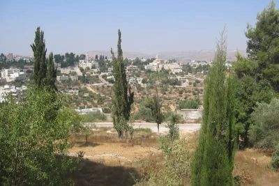 بيت مستقل للبيع مع مزرعة خيالية بيت مستقل للبيع مع مزرعة خيالية