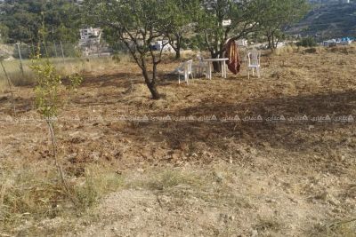 قطعة أرض للبيع وسط لوزا