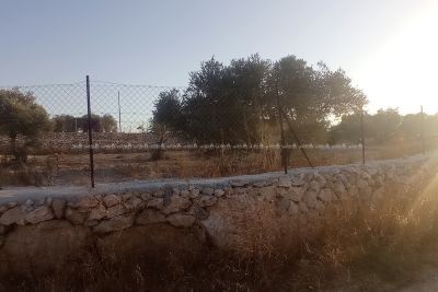 أرض للبيع بأجمل مواقع جبل المنطار