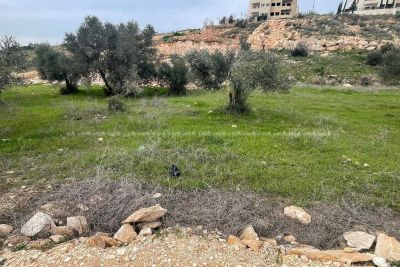 قطعة أرض للبيع  - اسكان المعلمين