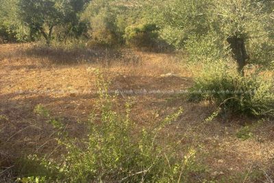 قطعة أرض للبيع 