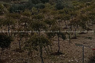 أرض مميزة في موقع راقٍ وهادئ