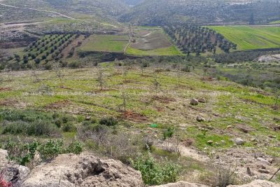 قطعة ارض للبيع